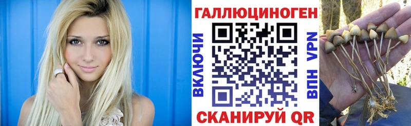 как найти закладки Муравленко Галлюциногенные грибы мицелий