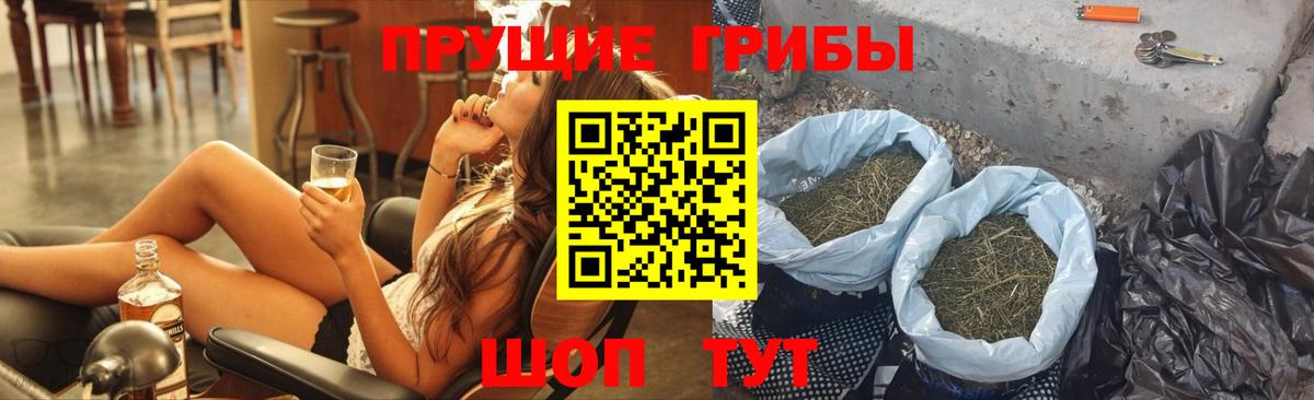 Псилоцибиновые грибы Cubensis Муравленко